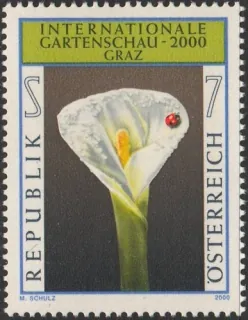2339** Kvety