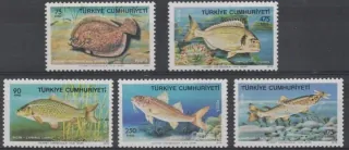 2369-2373 Fauna