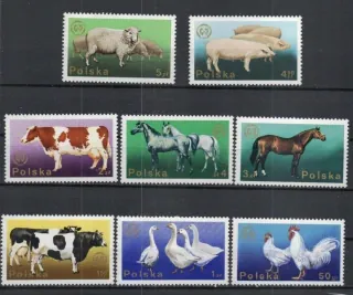 2378-2385 Fauna