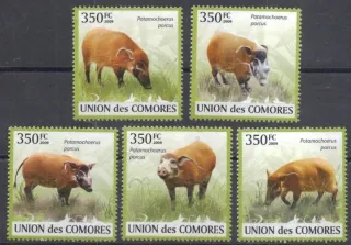 2430-2434 Fauna