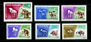 2553-2558 Fauna