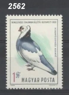 2562 ** vtáky