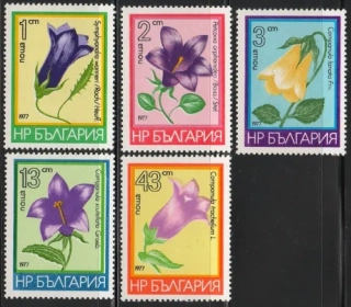 2569-2573 Kvety