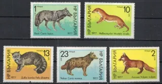 2597-2601 Fauna