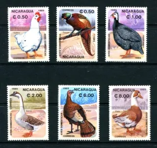 2599-2604 Fauna