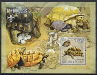 2768 BL 541 Fauna