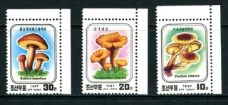 2798-2800 Hríby