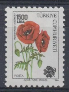 2897 Flora