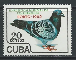 2910 Vtáky
