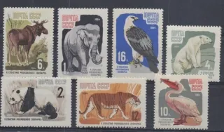 2914-2920 A Fauna