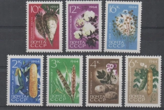 2922-2928 A Flora
