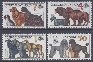 2947-2950**  Výstava psov