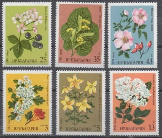 2963-2968 Flora