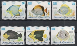 2965-2970 Fauna