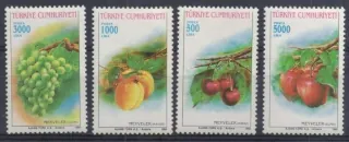 2969-2972 Flora