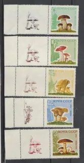 2983-2987 Y Hriby
