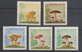2983-2987 Y Hriby