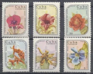 2990-2995 Flora
