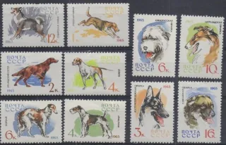 3020-3029 Fauna