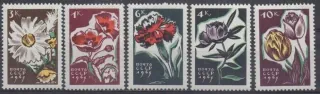 3046-3050 Flora