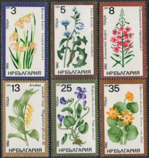 3084-3089 Kvety