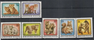 3098-3104 **Fauna