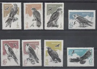 3146-3153 Fauna