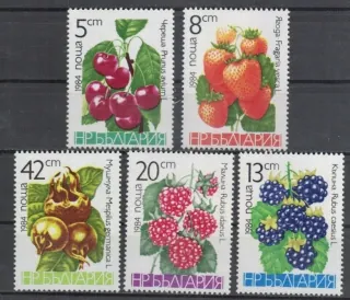 3260-3264 Flora