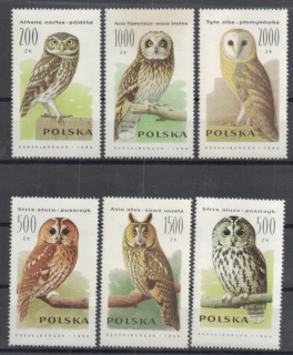 3294-3299 Fauna