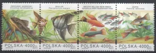3505-3508 Fauna