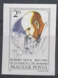 3536 B**