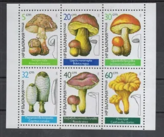 3546-3551 KB Hriby