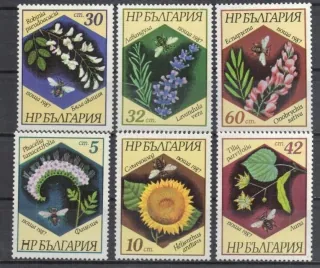 3582-3587 Flora