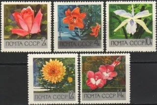 3620-3624 Flora