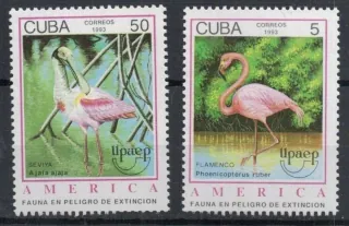 3705-3706 Fauna