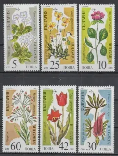 3735-3740 Flora