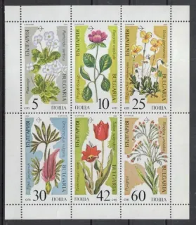 3735-3740 KB Flora