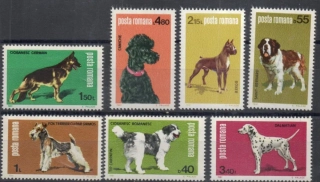 3762-3768 Fauna