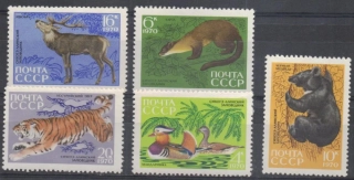 3787-3791 Fauna