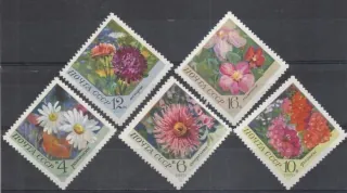 3818-3822 Flora