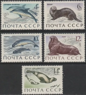 3913-3917 Fauna