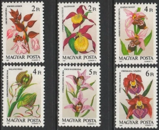 3922-3927 Kvety