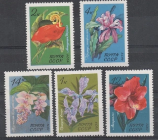 3956-3960 Flora