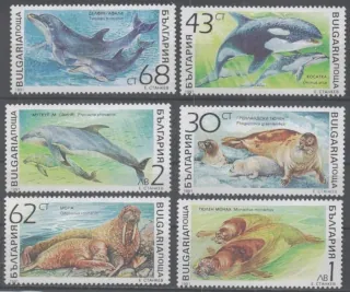 3959-3964 Fauna