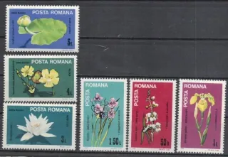 4035-4040 Flora