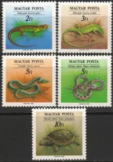 4035-4039 **Fauna