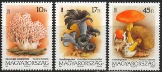 4247-4249 ** Hríby