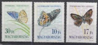 4251-4253 Fauna