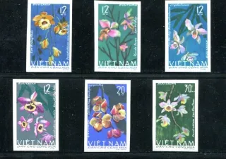 0425-0530B Kvety