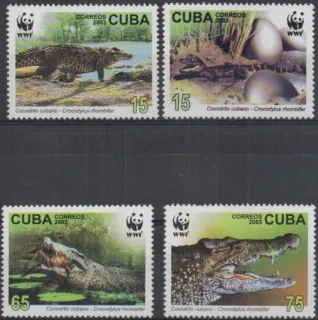 4553-4556 FAUNA
